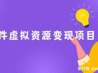 全网引流软件虚拟资源变现项目课程