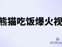 AI熊猫吃饭爆火视频创作项目