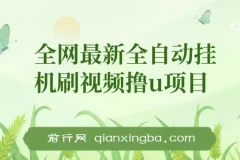 全自动挂机刷视频撸U项目教程