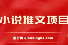 小说推文项目新人6天日赚三位数分享课