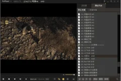 视频播放器PotPlayer去广告绿色版