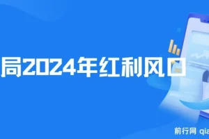 2024红利风口项目，普通人也能逆风翻盘