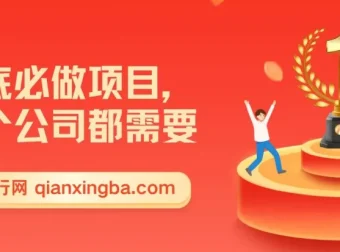 年底0成本变现项目，适合各公司