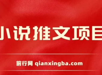 小说推文项目新人6天日赚三位数分享课
