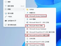 Office全系列精简版：涵盖2003 – 2024版本