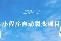 小程序自动裂变项目：全自动推广，收益可观