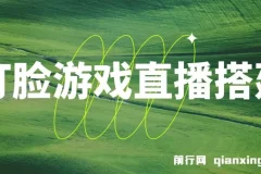 打脸扇巴掌游戏无人直播玩法：礼物互动整蛊