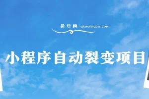 小程序自动裂变项目：全自动推广，收益可观