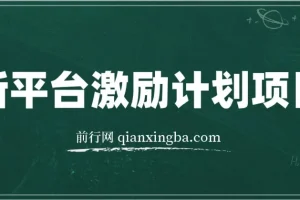 VIVO视频创作者分成计划项目分享