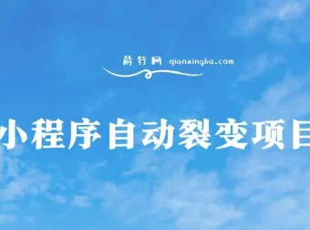 小程序自动裂变项目：全自动推广，收益可观