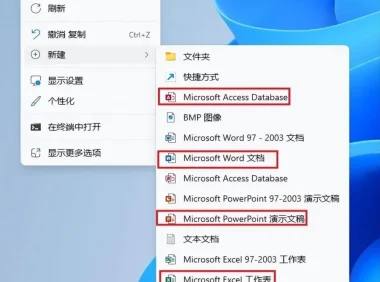 Microsoft Office全系列精简版（2003 – 2024）