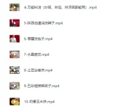 家庭面食面点视频课程