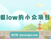 小众高利润副业项目，操作得当月入过万