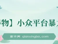 得物小众平台短视频暴力玩法，小白可无脑操作