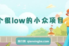 小众高利润副业项目，操作得当月入过万