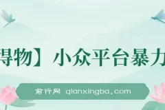 得物小众平台短视频暴力玩法，小白可无脑操作