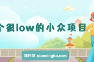 小众高利润副业项目，操作得当月入过万