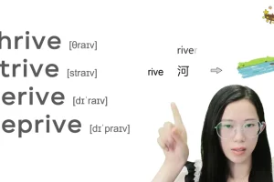 西西单词速记课堂资料合集：涵盖多类词汇与学习资源