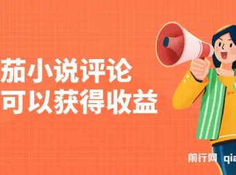 番茄小说评论赚钱项目介绍