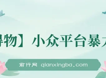 得物小众平台短视频暴力玩法，小白可无脑操作