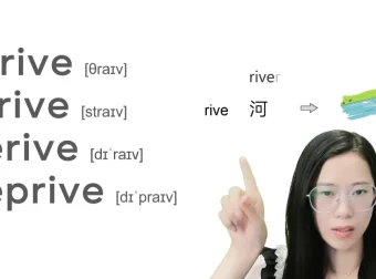 西西单词速记课堂资料合集：涵盖多类词汇与学习资源