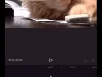 余成抖音同城运营实战课：实体店引流变现秘籍