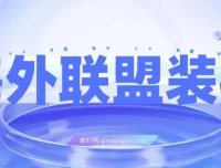 海外联盟装机项目：单窗口日收益可观