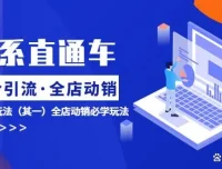 淘系电商直通车低价引流与全店动销ROI提升课程