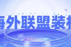 海外联盟装机项目：单窗口日收益可观