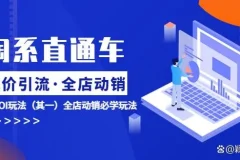淘系电商直通车低价引流与全店动销ROI提升课程