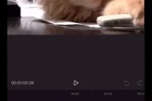 余成抖音同城运营实战课：实体店引流变现秘籍