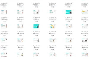 雪梨老师中高级英语语法课