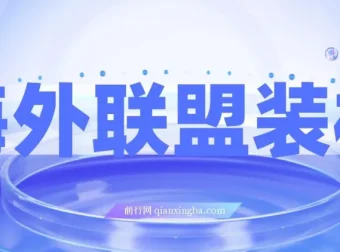 海外联盟装机项目：单窗口日收益可观