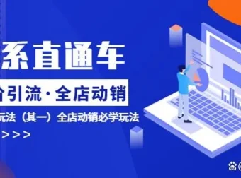 淘系电商直通车低价引流与全店动销ROI提升课程