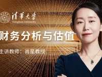 肖星财务分析与估值实战课