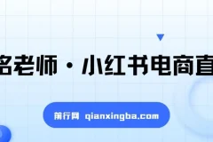 小红书电商运营实战课：直播带货、店铺与笔记运营及AI赋能