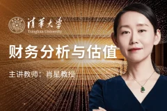 肖星财务分析与估值实战课