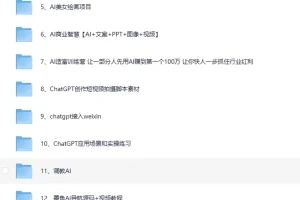 AI变现实战案例教程合集
