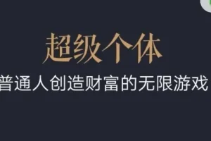 超级个体：普通人2024 – 2025财富翻盘指南
