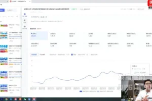 拼多多爆款运营实战课：活动、付费与自然流量全攻略