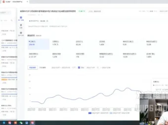 拼多多爆款运营实战课：活动、付费与自然流量全攻略