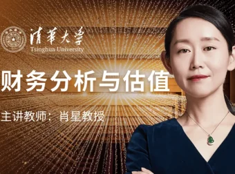 肖星财务分析与估值实战课