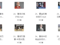 杰森拳击系统教学中英字幕课程