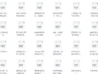 书旗会员完结小说500本精校TXT合集推荐