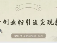 抖音创业粉引流卖课教程