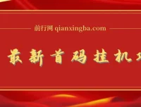 全网最新首码挂机项目，享管道收益