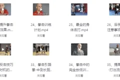 杰森拳击系统教学中英字幕课程