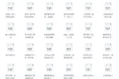 书旗会员完结小说500本精校TXT合集推荐