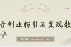 抖音创业粉引流卖课教程