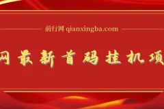 全网最新首码挂机项目，享管道收益